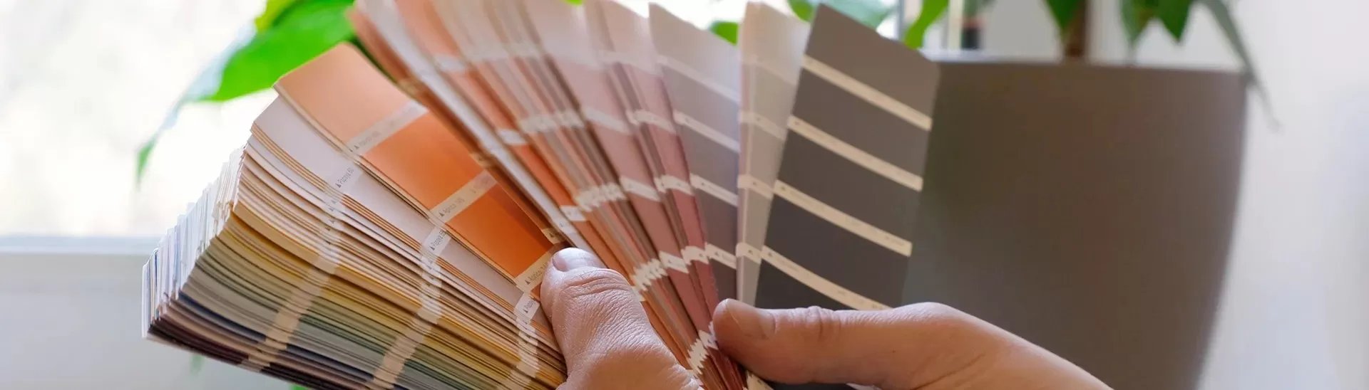 Perfect Office Wall Colours: Ideas for Interior & Exterior Design